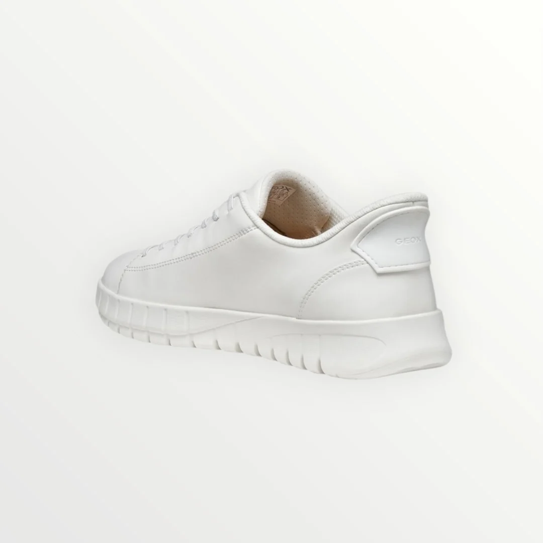 GEOX - SNEAKER FLEXTRIDE - Image 2